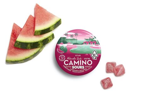 Camino Sours :Watermelon Spritz 100mg (S)